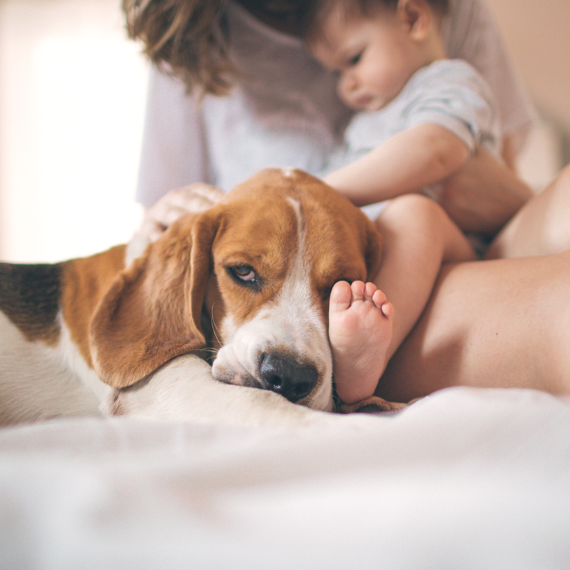 Mother, baby and family dog